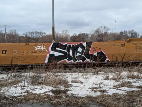 Train photo