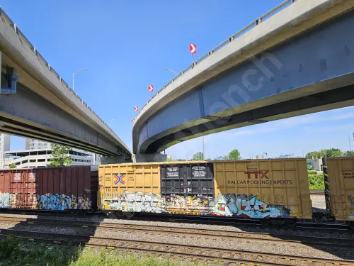 TBOX639018