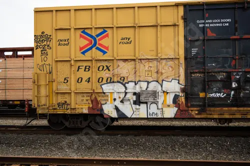 FBOX504009