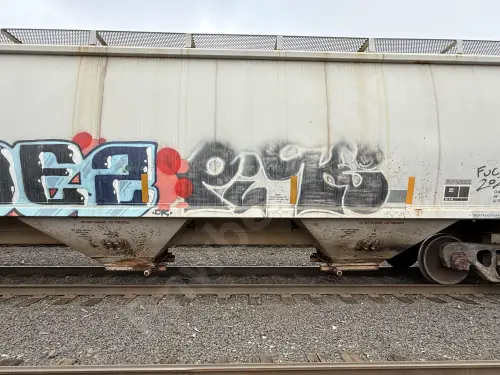 GCCX81097