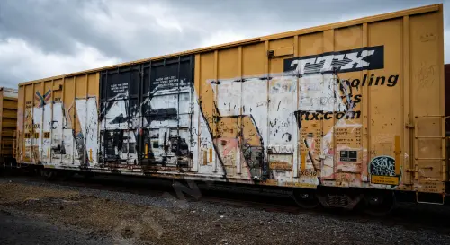 TBOX661186
