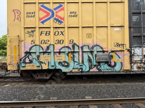 FBOX502309
