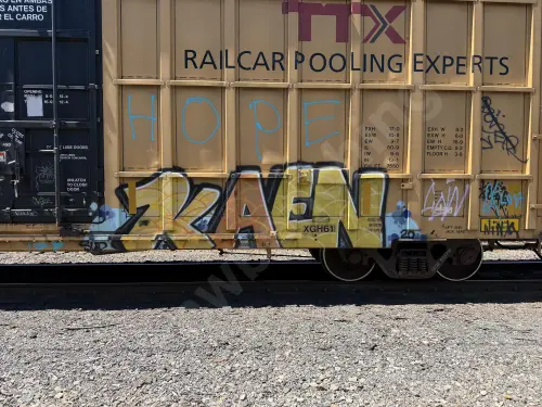 TBOX639716