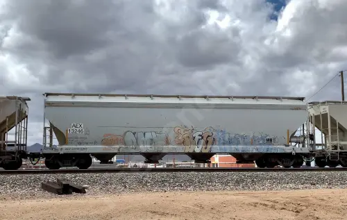 AEX13246