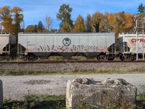 CP654333