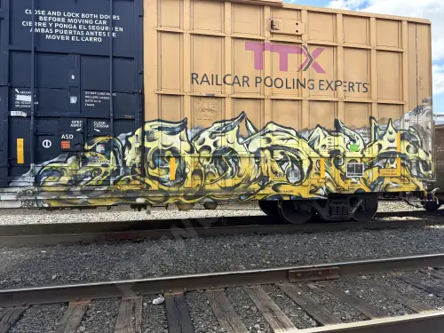 TBOX673244