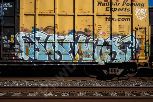 FBOX504807