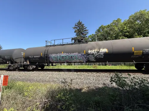 Train photo