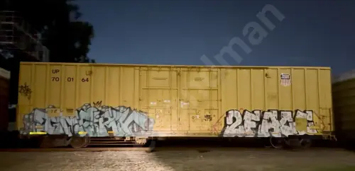 UP700164