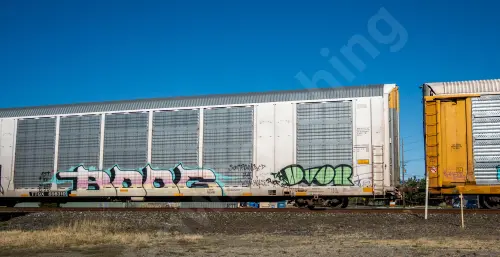 TTGX698310