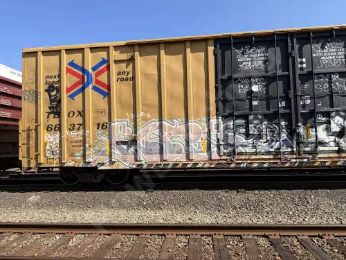 TBOX663716