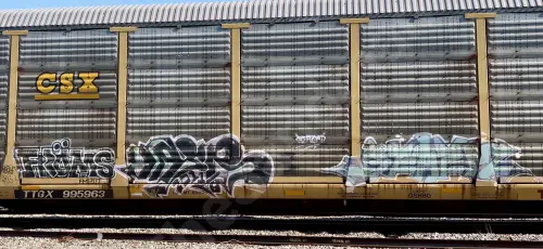 Train photo