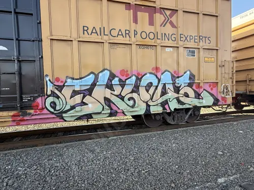 TBOX633043