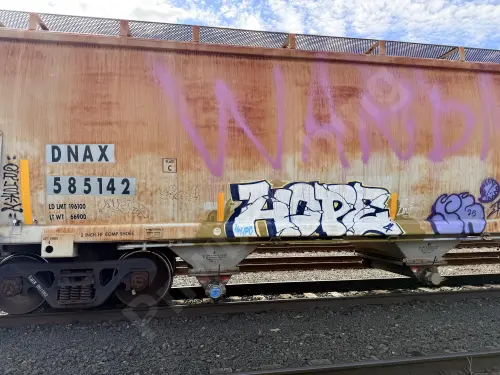 DNAX585142
