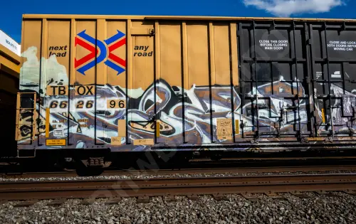 TBOX662696