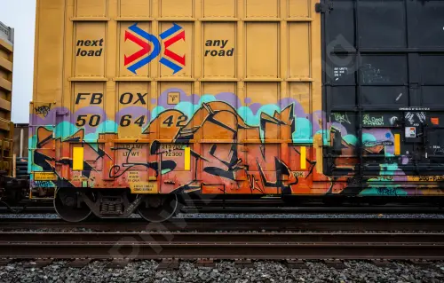 FBOX506442