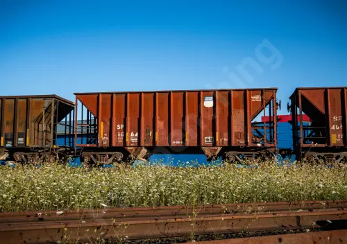 SP166417