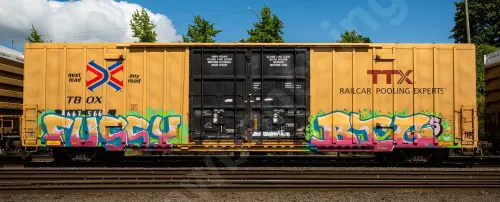 TBOX667566