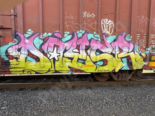 NS471189
