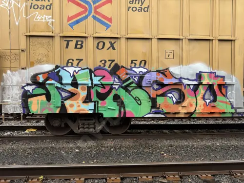 TBOX673750