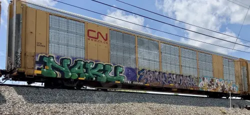 TTGX695886