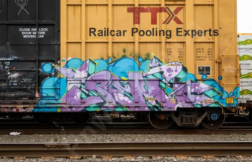 FBOX506262