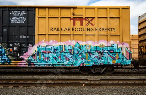 TBOX639803