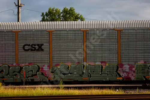 TTGX995116