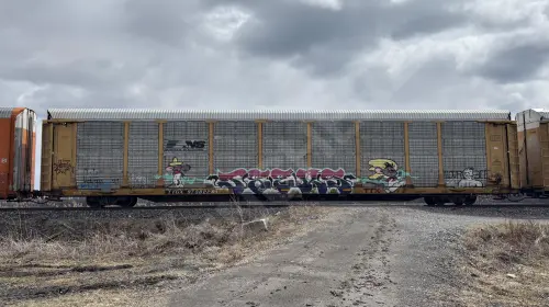 Train photo