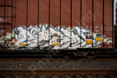 NS469525