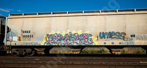 DNAX585033