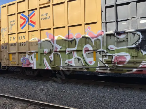 TBOX640393