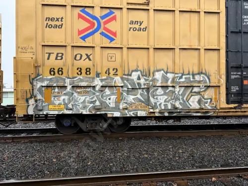 TBOX663842