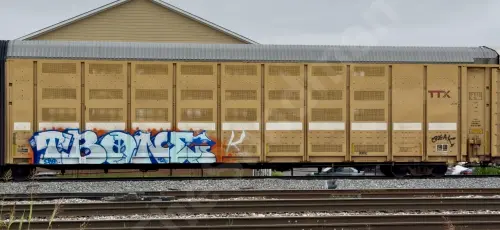 BTTX880305