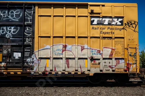 FBOX502494