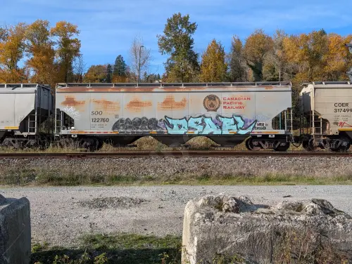 Train photo