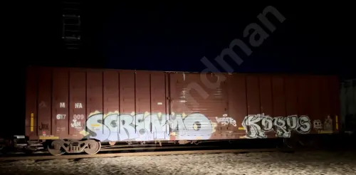 Train photo