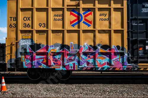 TBOX633693