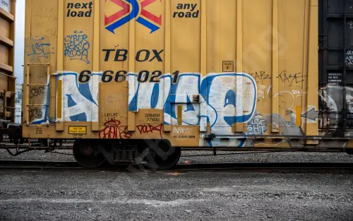 TBOX666021