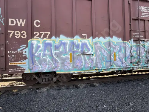 DWC793277
