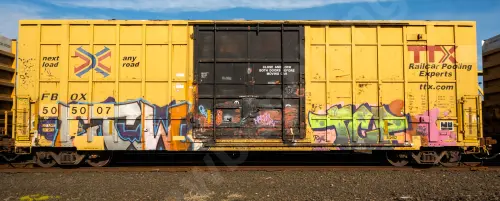 FBOX505007