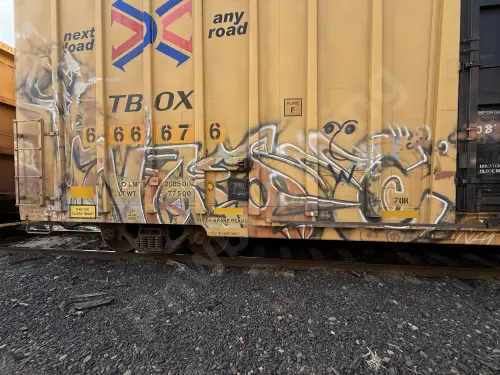 TBOX666676