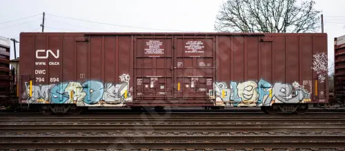 DWC794894