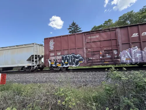 BNSF729307