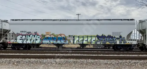 BNGX60064
