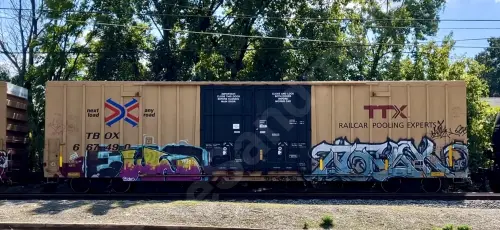 TBOX667490