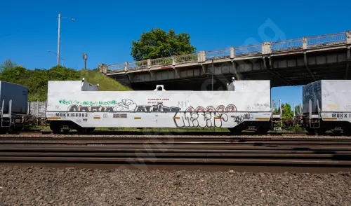 MBKX168883