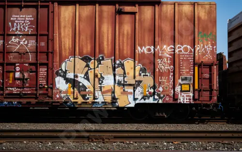 CP218204