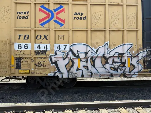 TBOX664447