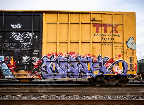 FBOX502087